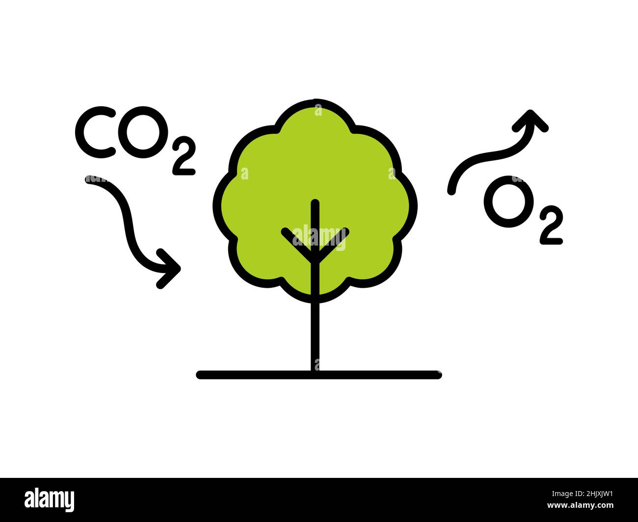 Cycle du carbone.L'arbre absorbe CO2 et libère O2.Diagramme du processus de photosynthèse.Réduction du dioxyde de carbone.Production d'oxygène.Concept de reboisement. Illustration de Vecteur