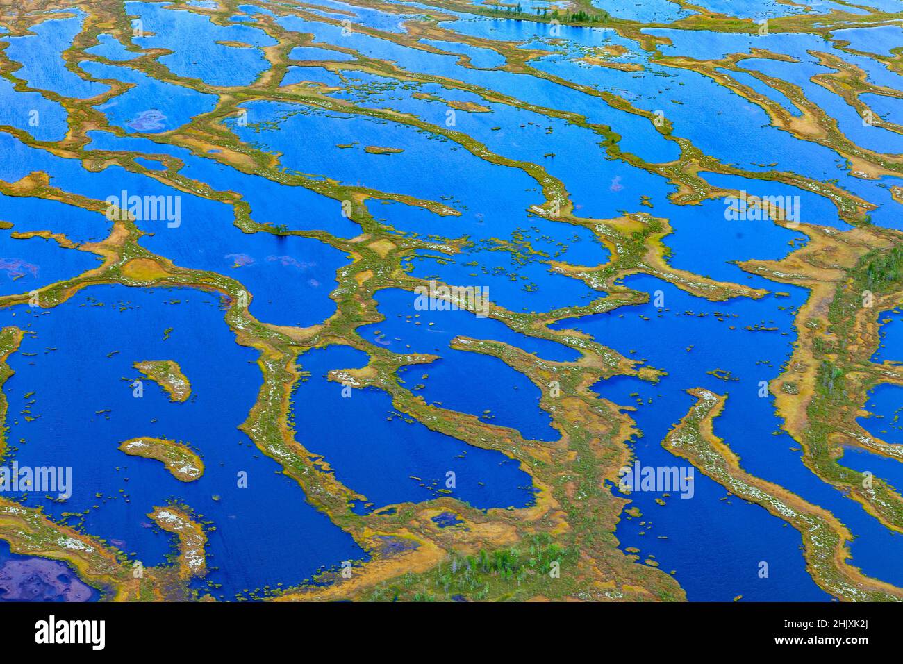 Photo aérienne des motifs naturels du siem du lac sur les terres marécageuses Banque D'Images