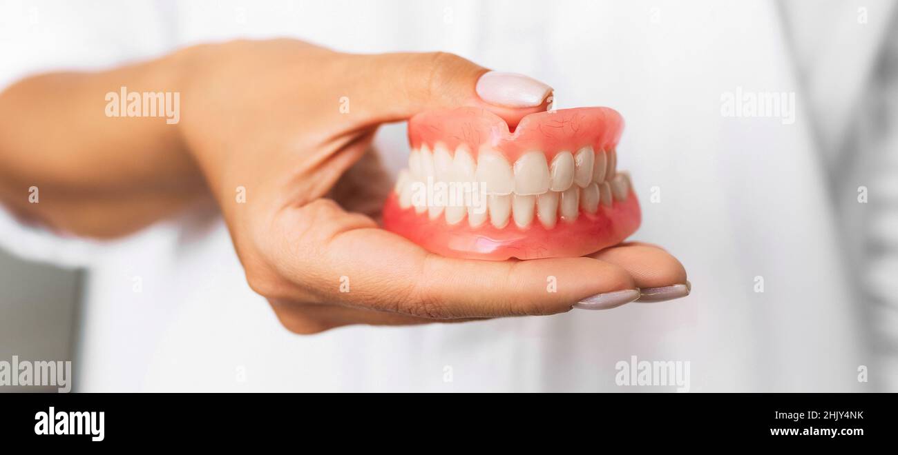 Le dentiste tient des prothèses dentaires entre ses mains.Prothèse dentaire dans les mains du médecin en gros plan.Vue avant de la prothèse complète.Concept de dentisterie Banque D'Images