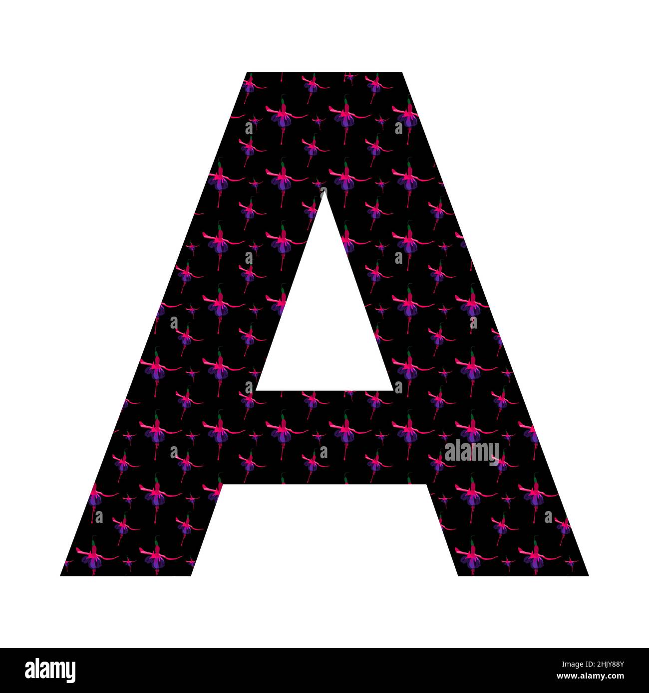 lettre a de l'alphabet avec un motif de fleurs de fuchsia rose sur fond noir, isolé sur fond blanc, vecteur Illustration de Vecteur