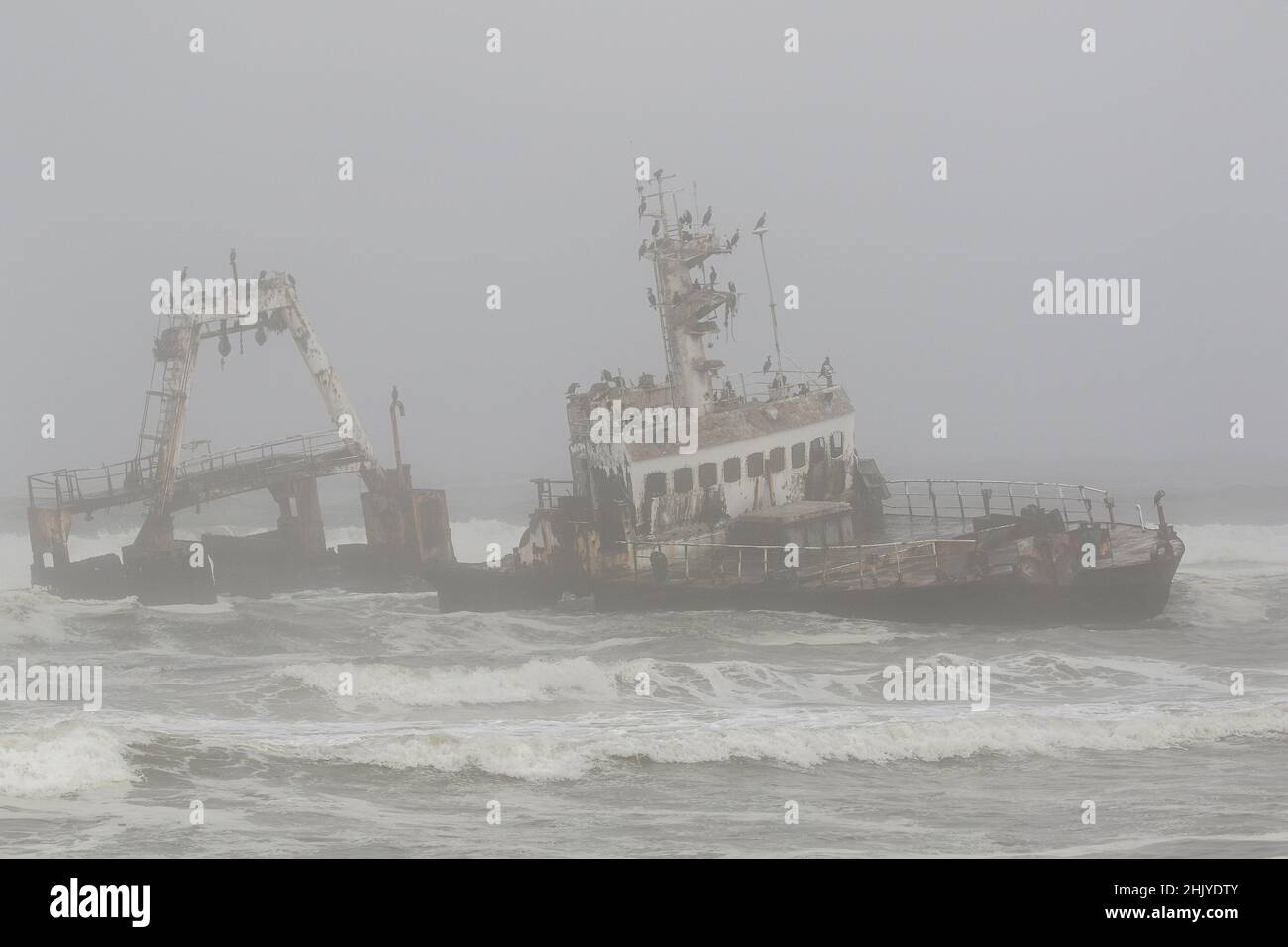 Zeila Shipwreck in the Mist, Henties Bay, Namibie Banque D'Images