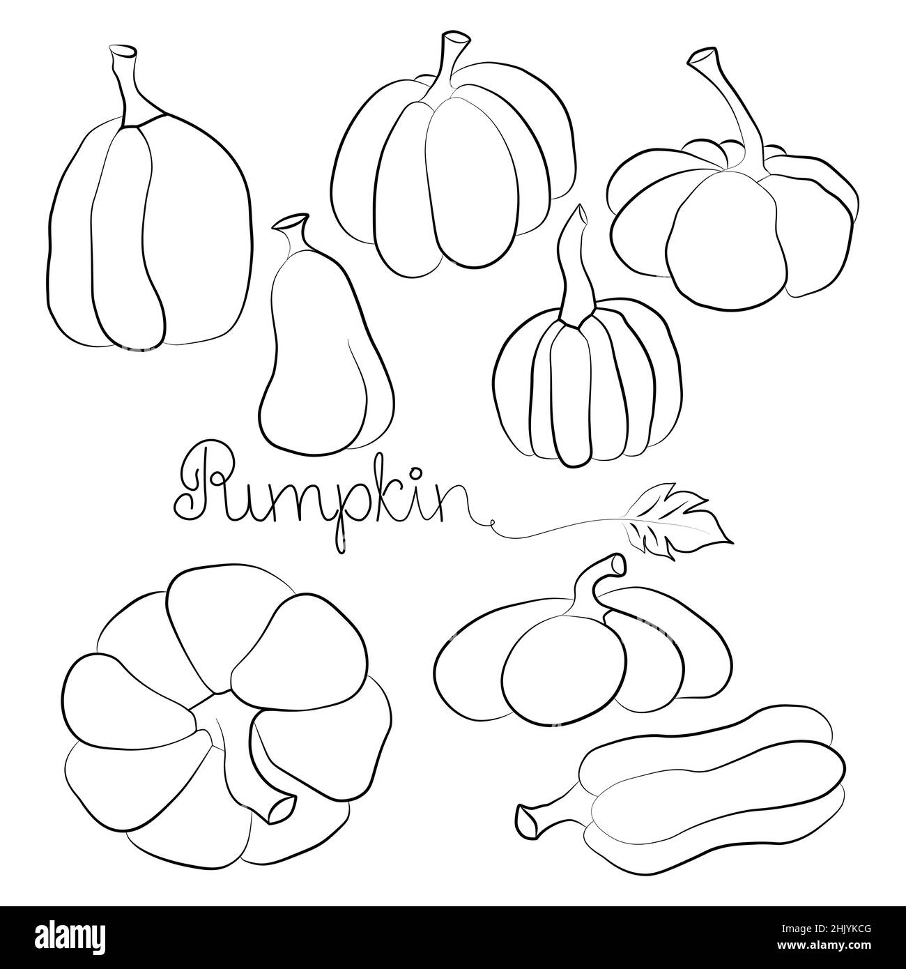 Ensemble d'illustrations vectorielles pour icônes de citrouille et lettrage dessiné à la main.Symbole automne Halloween ou Thanksgiving citrouille en forme plate, silhouette isola Illustration de Vecteur