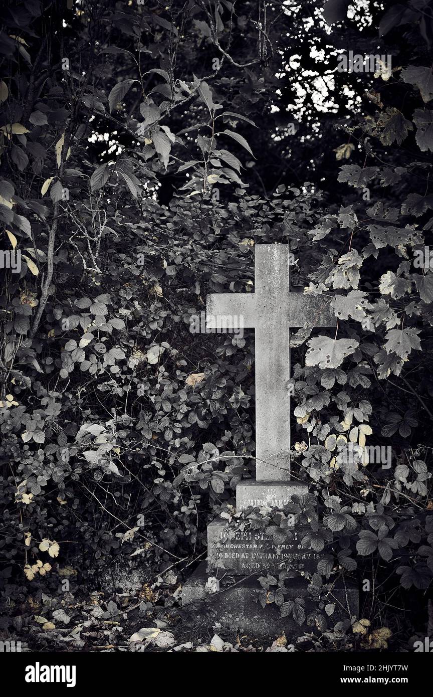 La croix de pierre solitaire se trouve dans un coin surcultivé d'un cimetière Banque D'Images