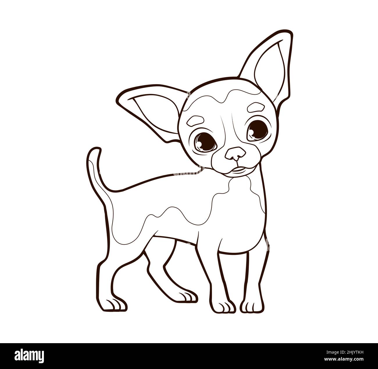 Livre de coloriage petit chien drôle chihuahua avec de grandes oreilles se tient sur des pattes minces.Illustration vectorielle de style dessin animé, ligne noire et blanche Illustration de Vecteur
