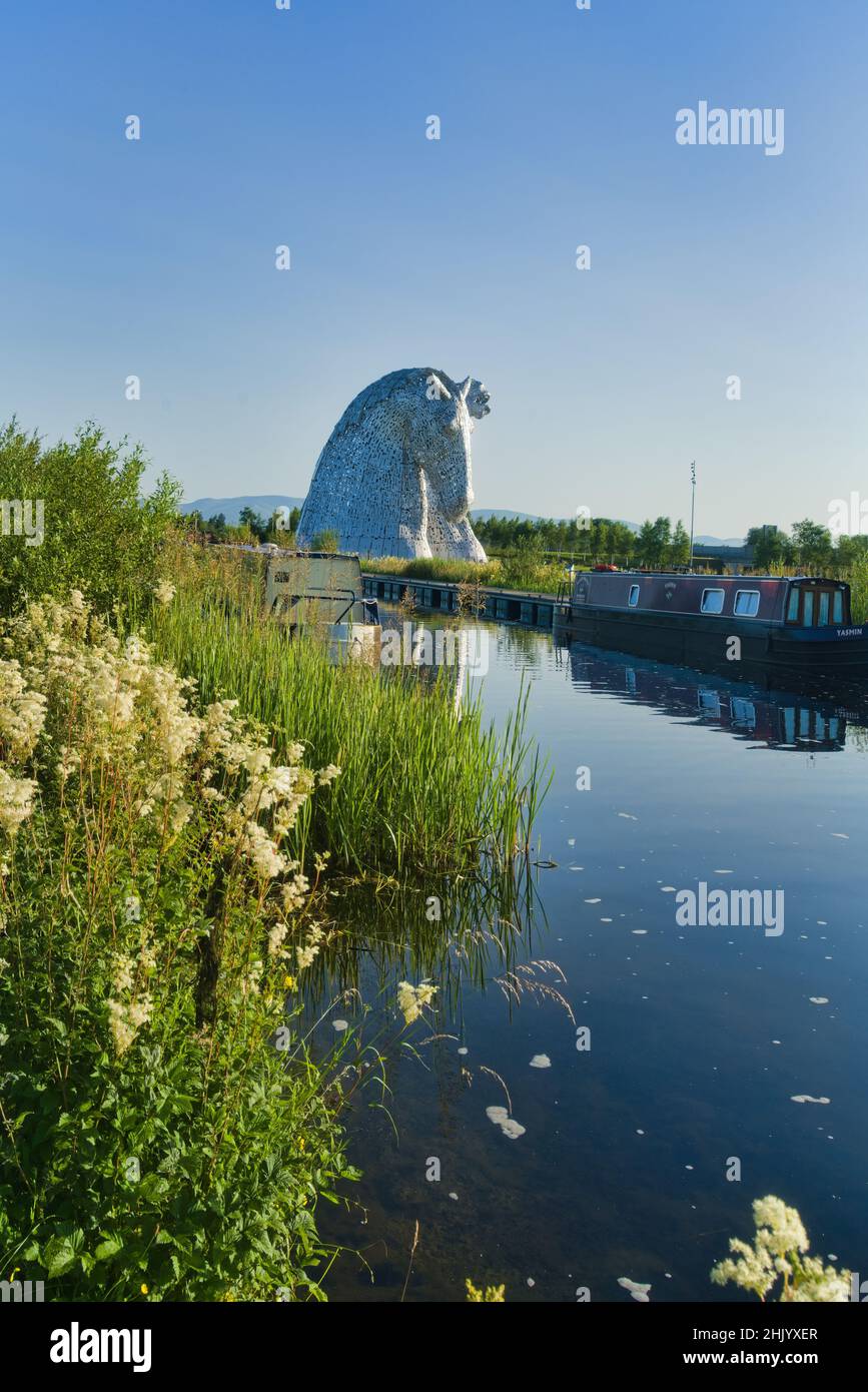 Les Kelpies aux fleurs sauvages vives et colorées sur la rive du Forth et du Clyde Canal.Helix public Park, Falkirk, Stirlingshire, Central, Écosse,ROYAUME-UNI. Banque D'Images