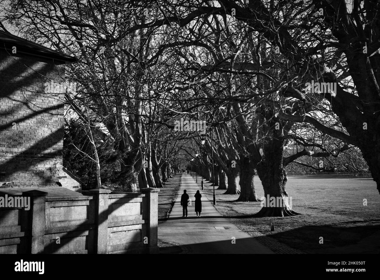 La longue promenade dans le parc de Cambridge Banque D'Images