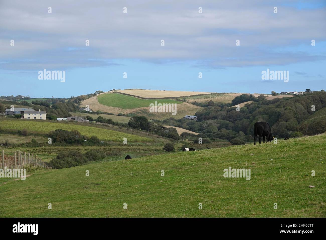 Une ferme à Devon, située au milieu des collines vallonnées et de la magnifique campagne de l'Ouest Banque D'Images