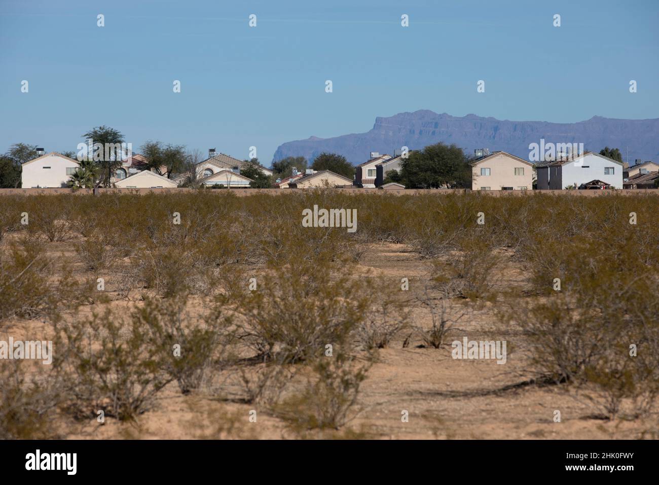 Vue de jour de l'étalement suburbain de la ville de San Tan Valley, Arizona, États-Unis. Banque D'Images