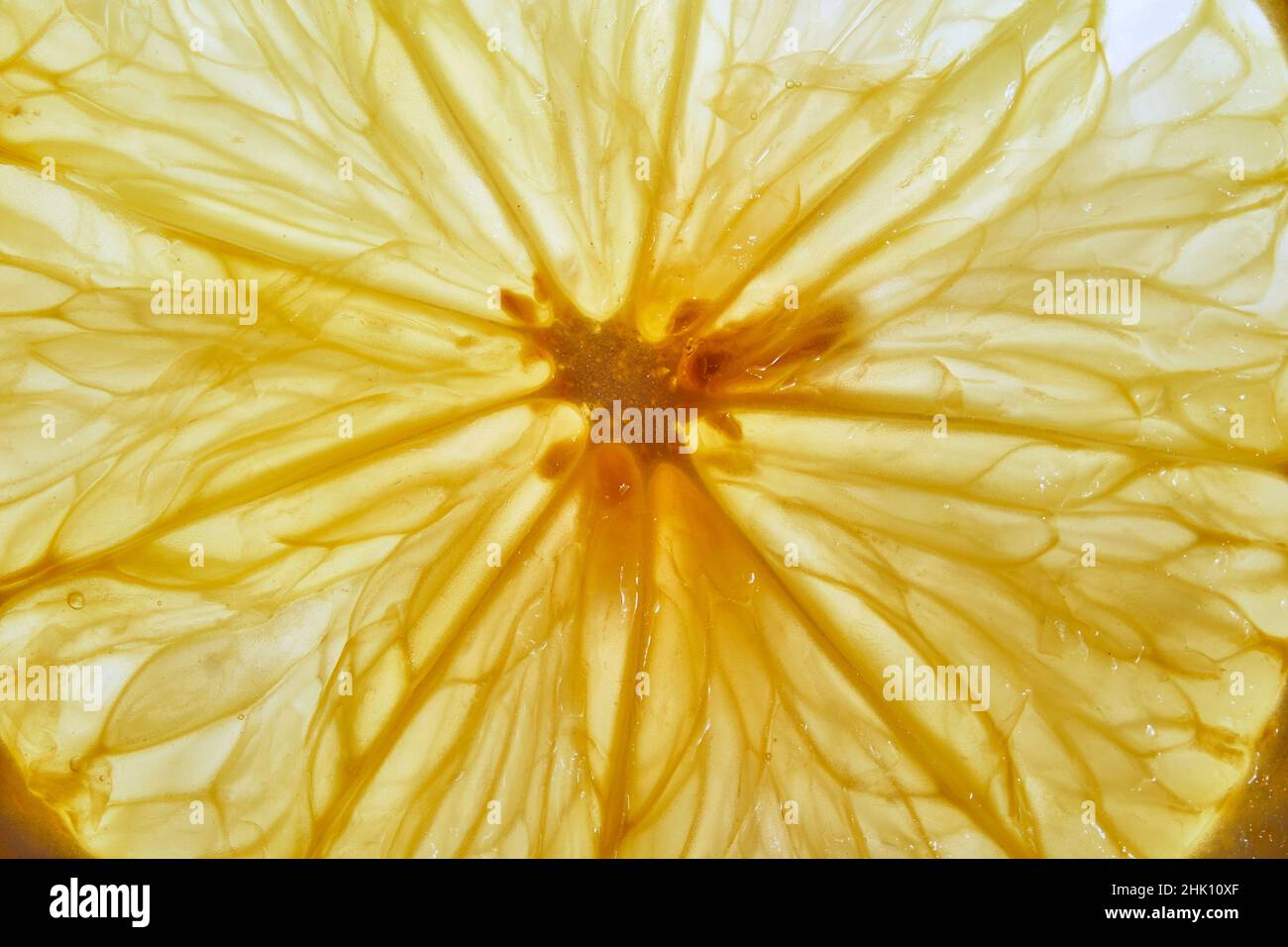 Macro gros plan d'un citron.Texture citron transparente.Détail macro de citron frais juteux.Photo de haute qualité Banque D'Images Macro gros plan d'un citron.Texture citron transparente.Détail macro de citron frais juteux.Photo de haute qualité Banque D'Images