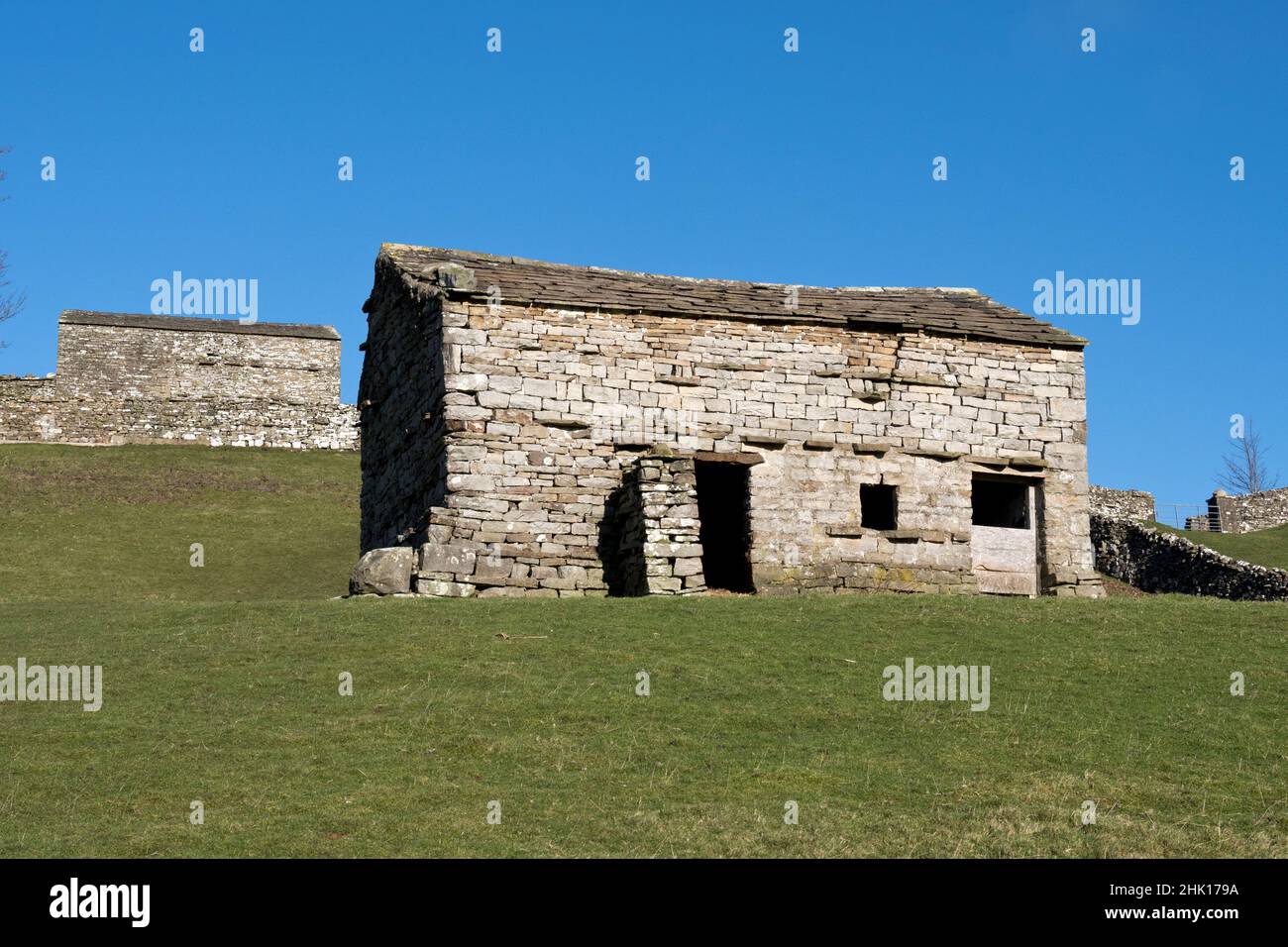 Les Barns traditionnels Yorkshire Dales, Sedbusk, Wensleydale, North Yorkshire.Ces 'granges' étaient à l'origine des logements pour le bétail pendant l'hiver. Banque D'Images