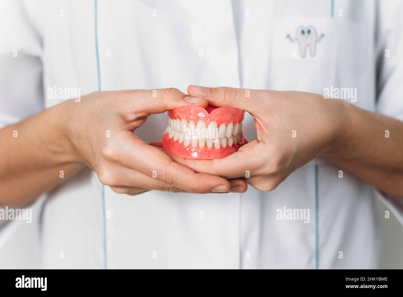 Le dentiste orthopédique tient des prothèses dentaires dans ses mains.Prothèse dentaire entre les mains du médecin.Vue avant de la prothèse complète.Conce dentaire Banque D'Images