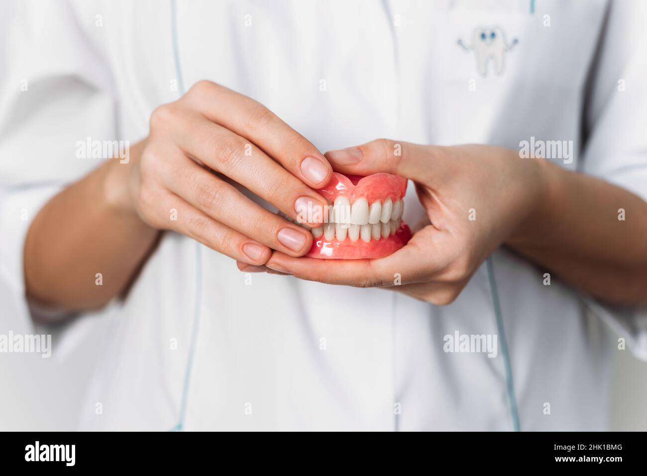 Le dentiste tient des prothèses dentaires entre ses mains.Prothèse dentaire dans les mains du dentiste orthopédique.Vue avant de la prothèse complète.Conc. Dentisterie Banque D'Images