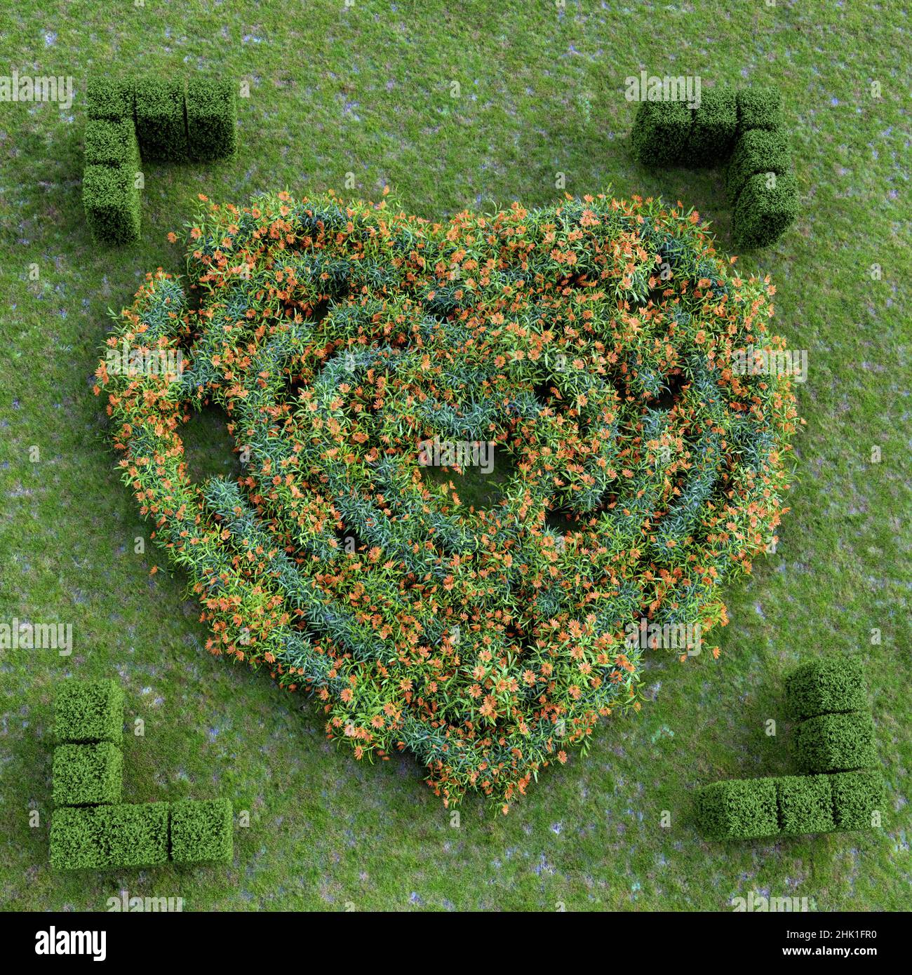 3D rendu de labyrinthe floral évergreen en forme de coeur tiré d'en haut Banque D'Images