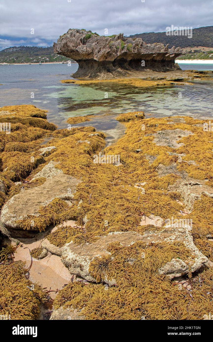 Port Davies, île Flinders Banque D'Images