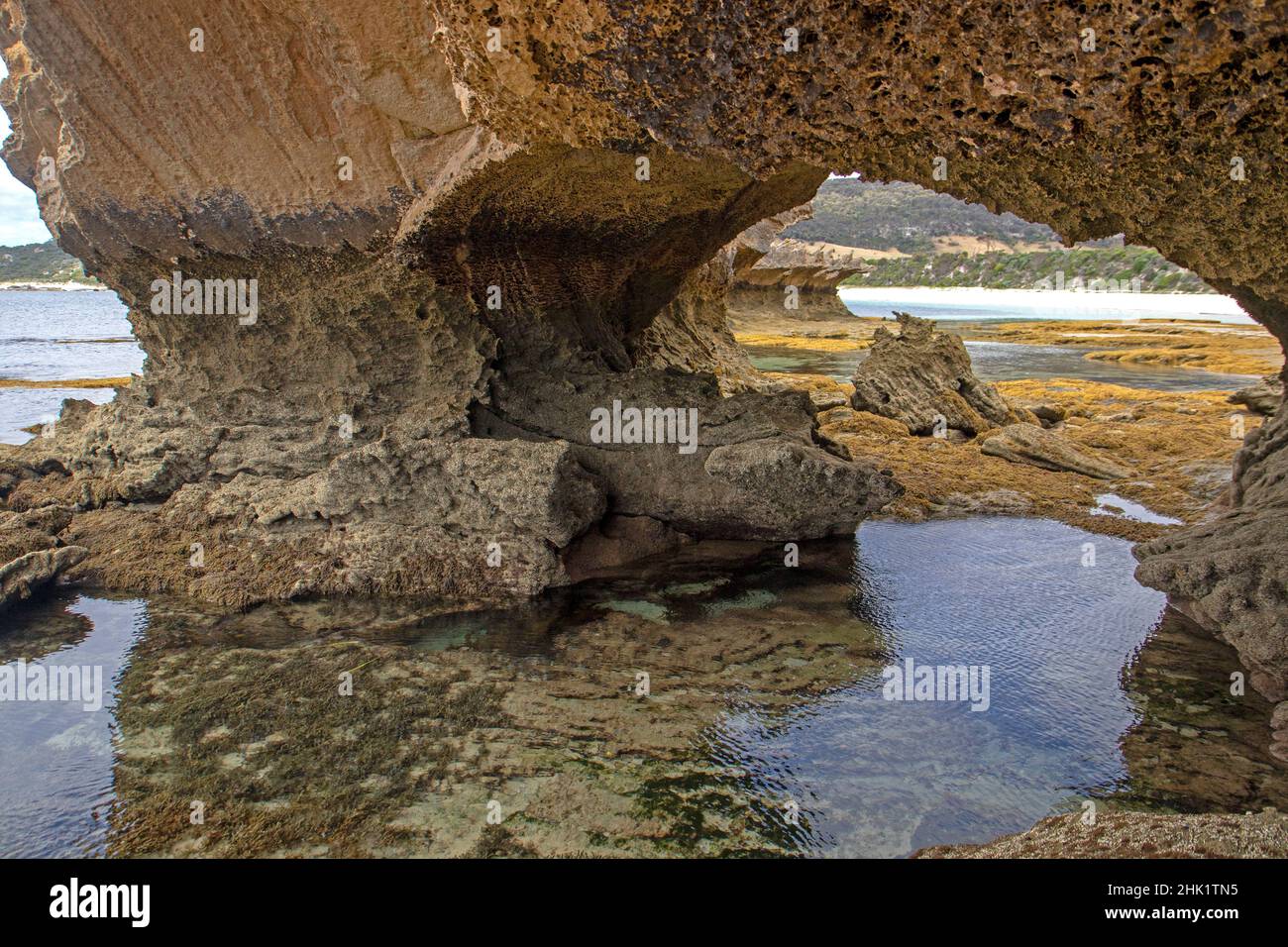 Arche de mer à Port Davies, île Flinders Banque D'Images
