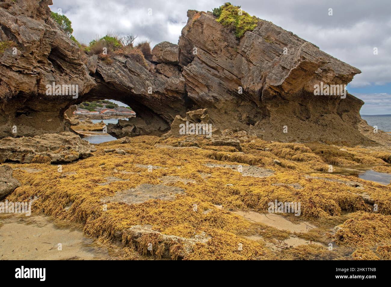 Arche de mer à Port Davies, île Flinders Banque D'Images
