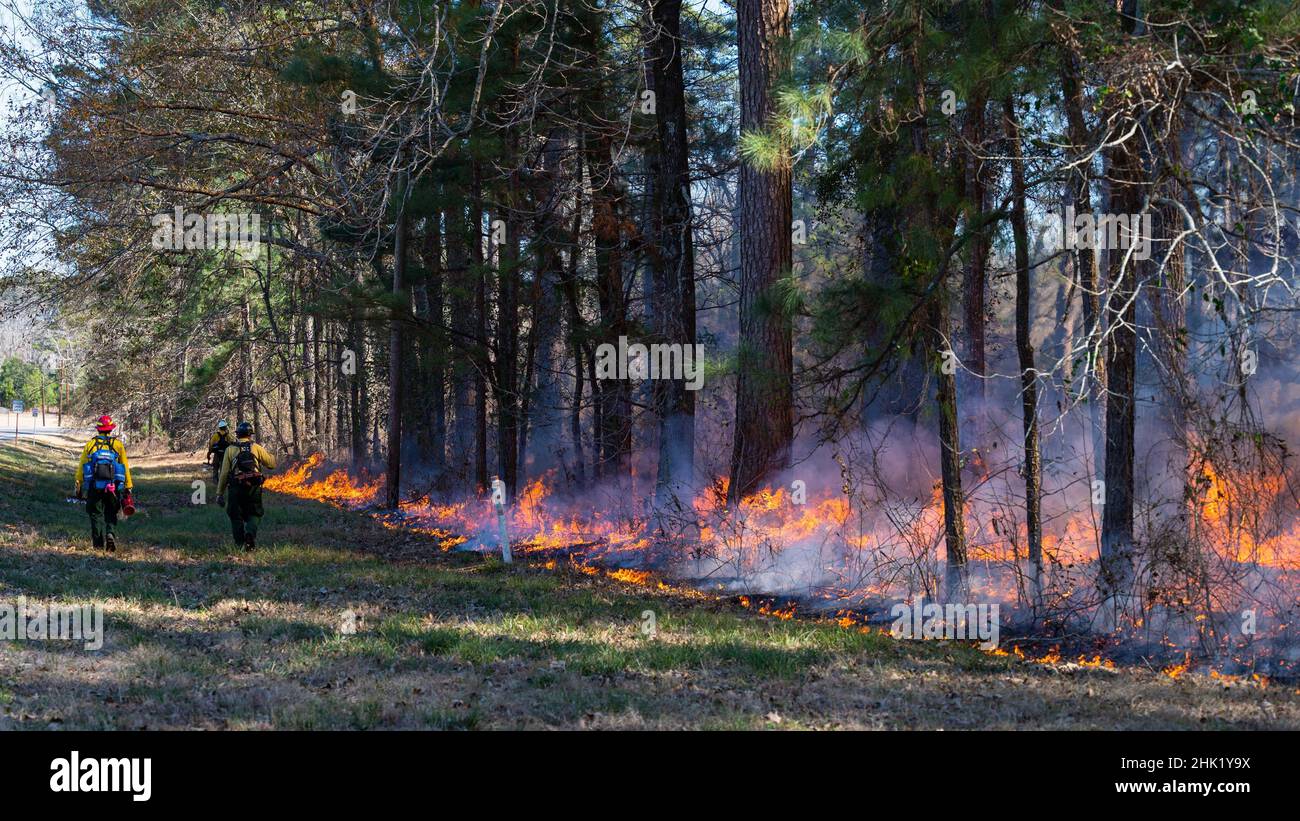 Des spécialistes de la gestion des incendies et des pompiers saisonniers marchent sur le périmètre d'un brûlage contrôlé à la base aérienne de Barksdale, en Louisiane, le 28 janvier 2022.Barksdale conduit des brûlures contrôlées chaque année pour minimiser les sous-sols inflammables et contrer les incendies de forêt.(É.-U.Photo de la Force aérienne par Airman 1st Class Chase Sullivan) Banque D'Images