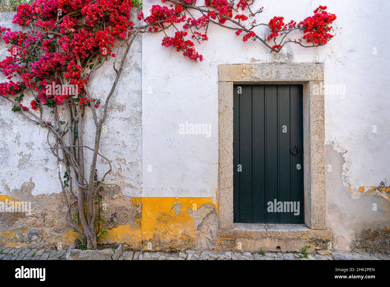 Europe, Portugal, Obidos.Usine de bougainvilliers sur le mur de la maison. Banque D'Images