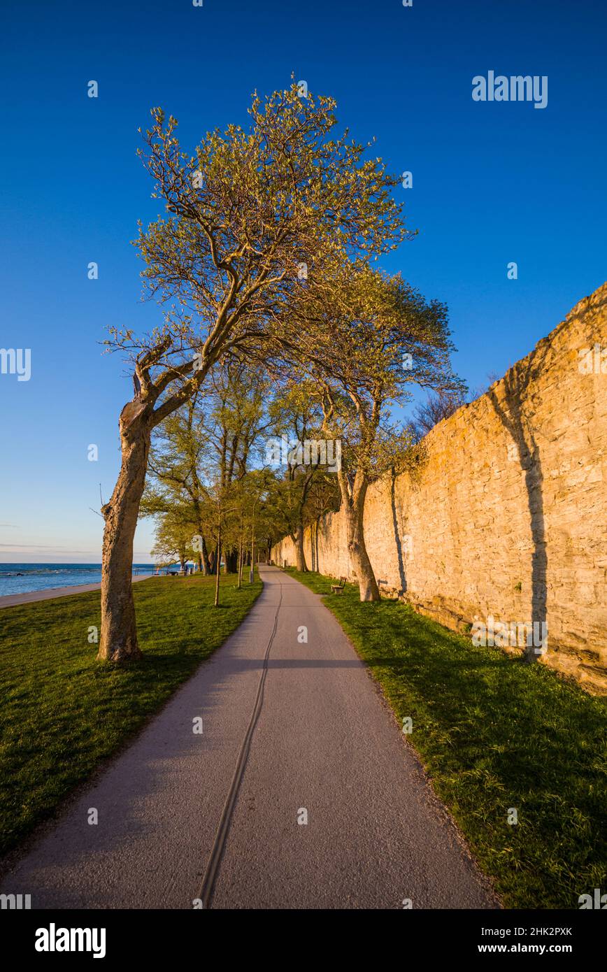 Suède, île de Gotland, Visby, mur de la ville du 12th siècle, mur de la ville médiévale le plus complet en Europe, coucher de soleil Banque D'Images