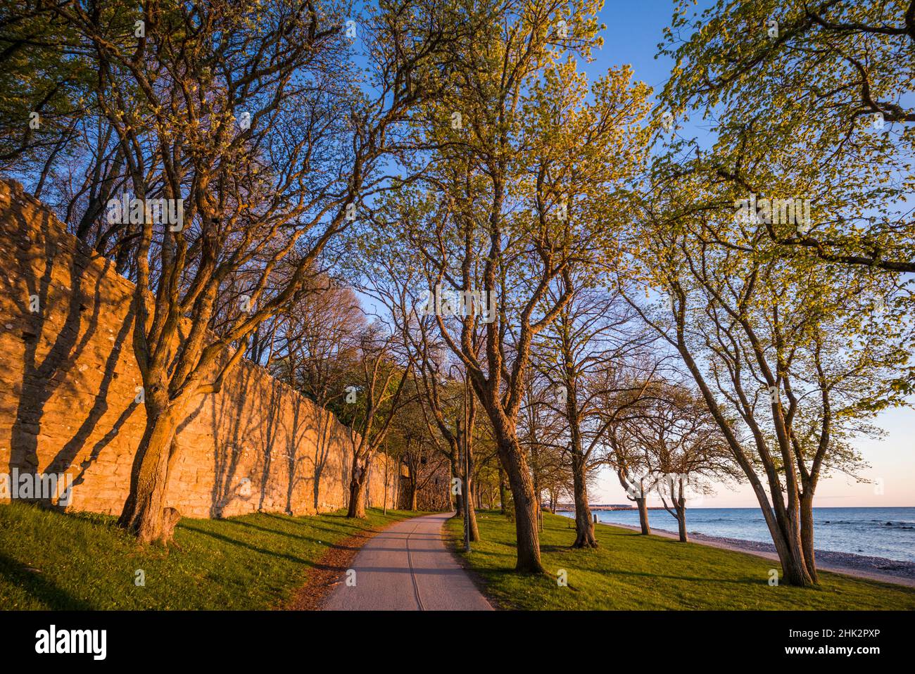 Suède, île de Gotland, Visby, mur de la ville du 12th siècle, mur de la ville médiévale le plus complet en Europe, coucher de soleil Banque D'Images