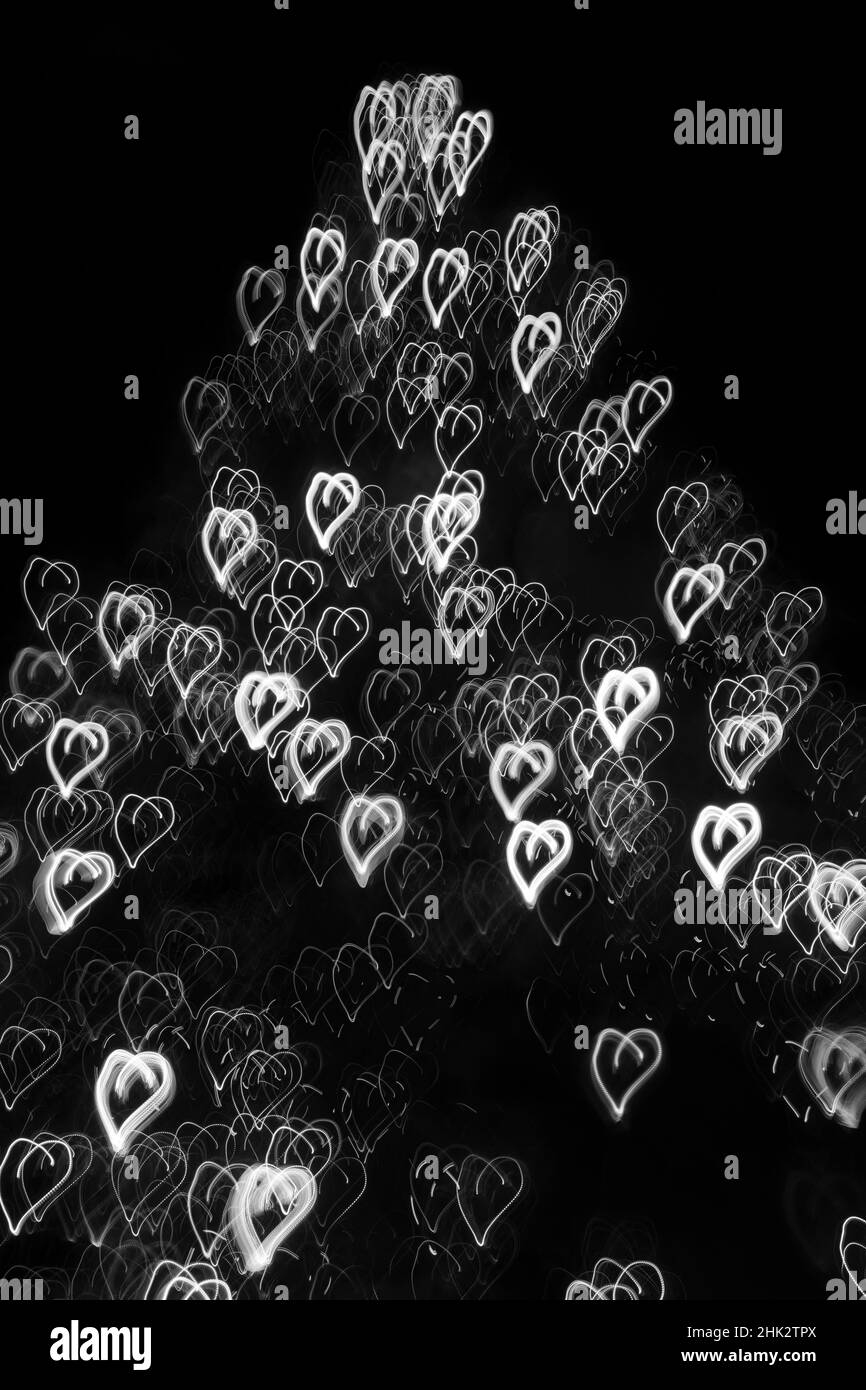 États-Unis, Arizona, Buckeye.Mouvement abstrait noir et blanc de l'arbre de Noël la nuit. Banque D'Images