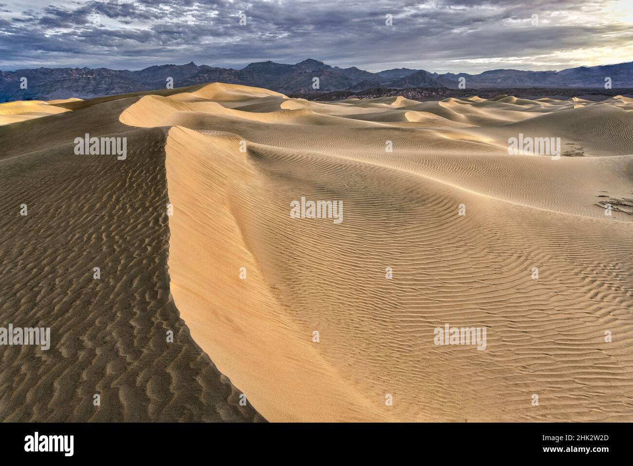 Mesquite Dunes, Death Valley National Park, en Californie. Banque D'Images
