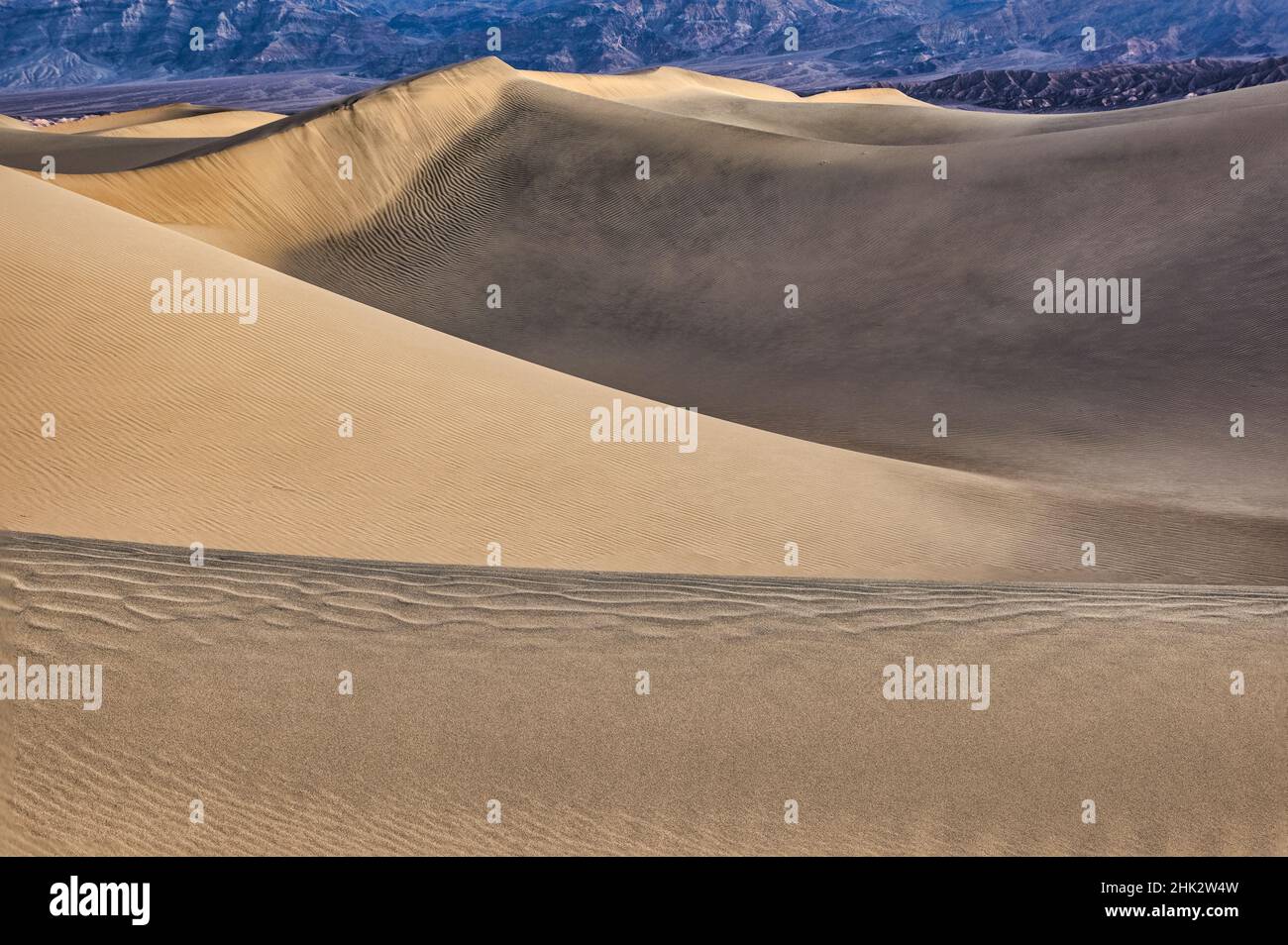 Mesquite Dunes, Death Valley National Park, en Californie. Banque D'Images