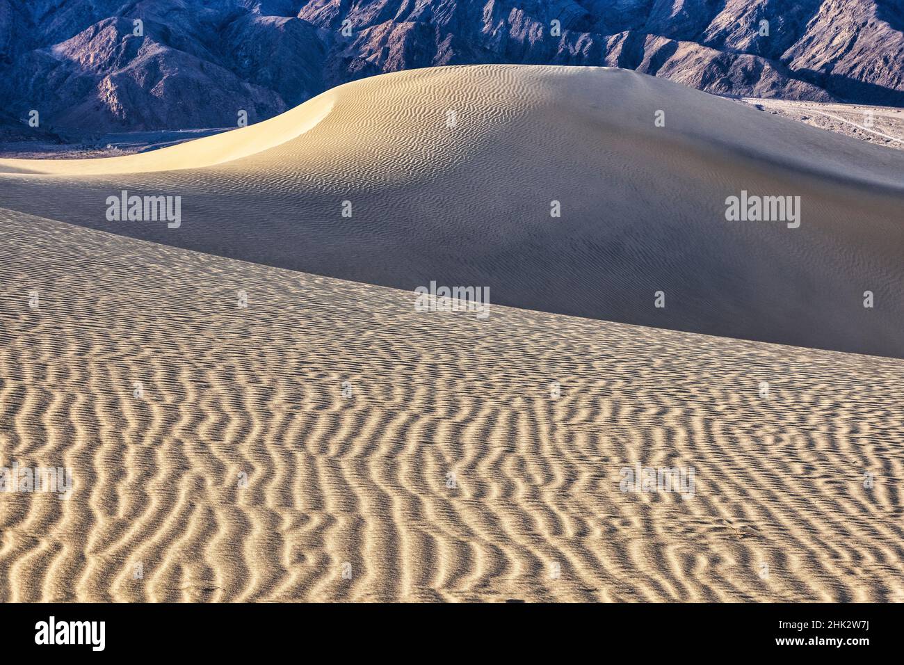 Mesquite Dunes, Death Valley National Park, en Californie. Banque D'Images