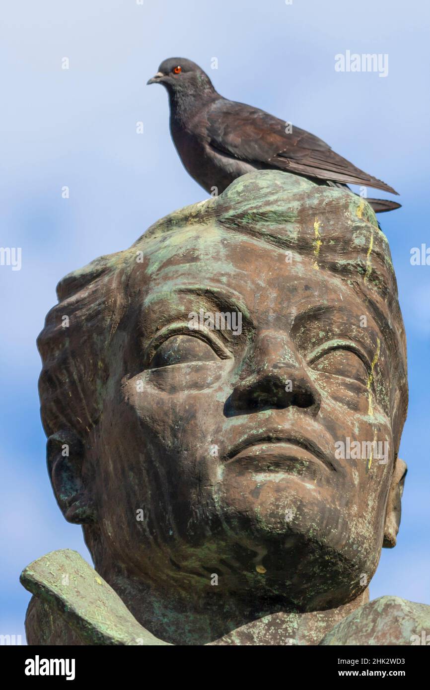 Hongrie, Budapest.Pigeon assis sur la tête d'une statue. Banque D'Images