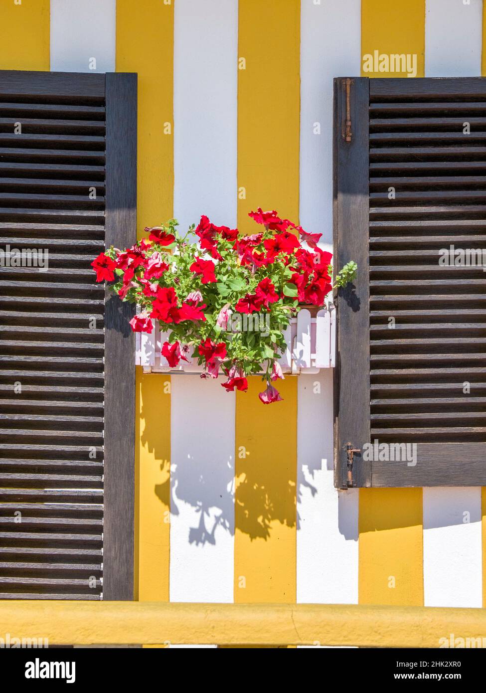 Portugal, Costa Nova.Chalets de vacances colorés dans le village côtier de la plage Costa Nova près de la ville d'Aveiro. Banque D'Images