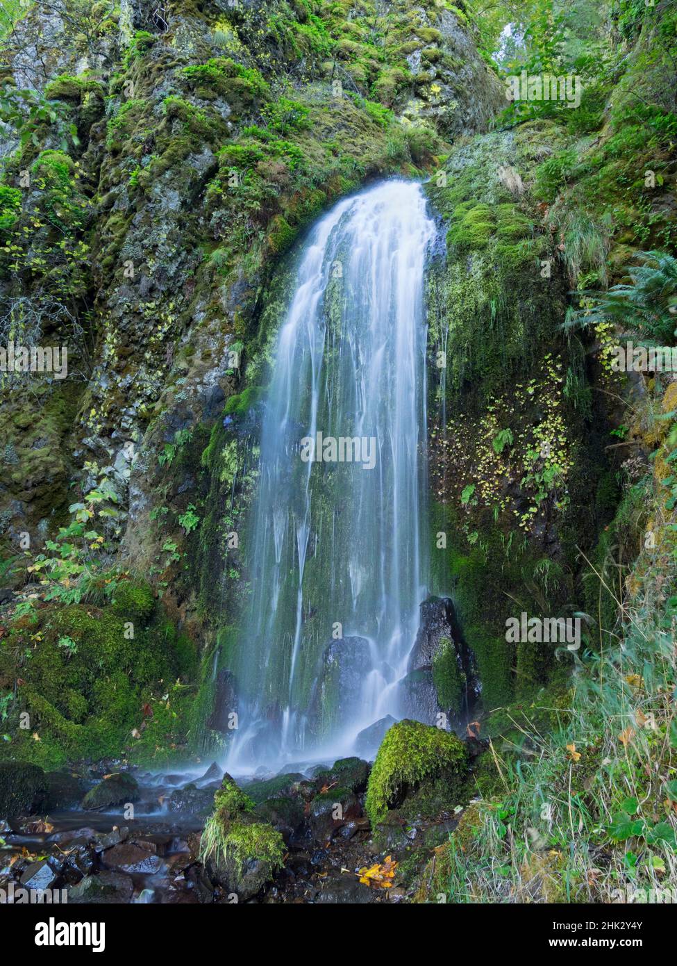 Oregon, région panoramique nationale de Columbia River gorge, chutes Lancaster Banque D'Images