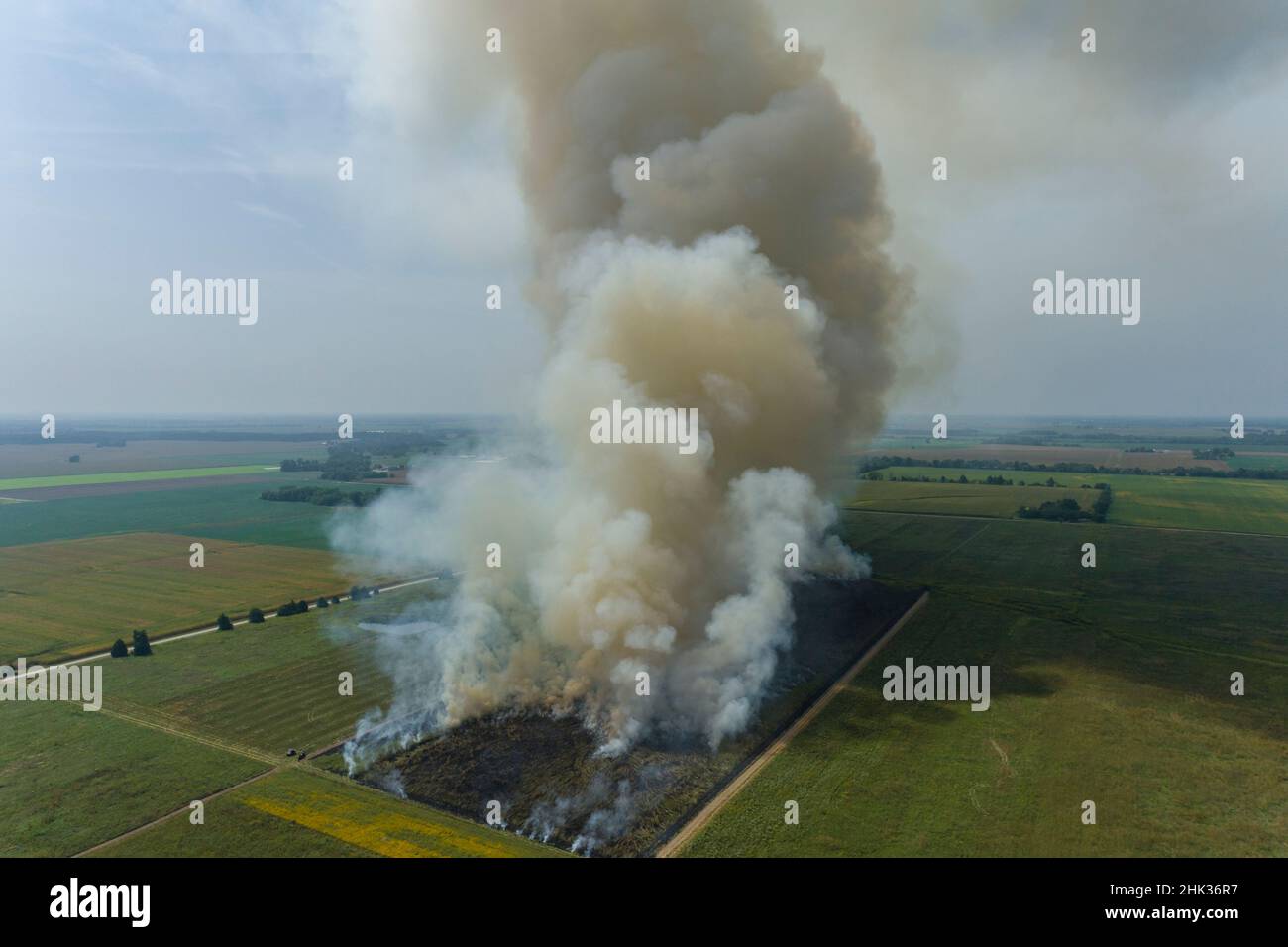 Brûlage d'été dans les prairies à la zone naturelle de l'État de Prairie Ridge, comté de Marion, Illinois Banque D'Images