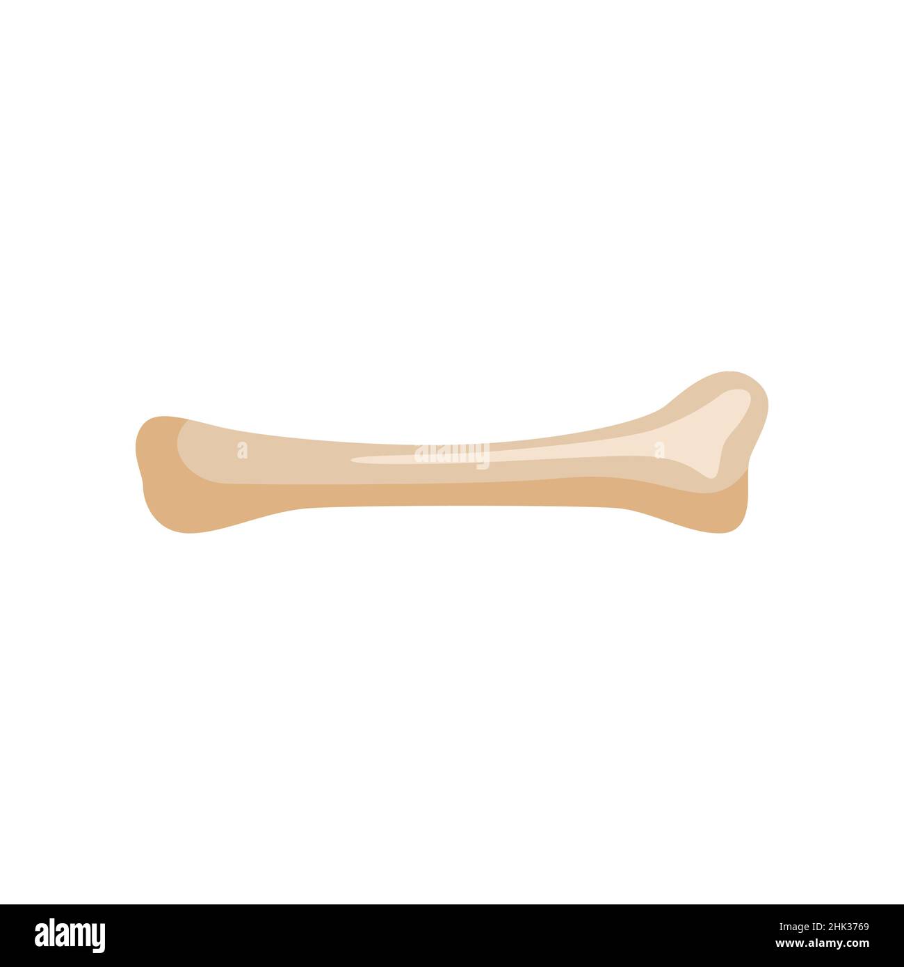 Os isolé sur fond blanc.Élément pour jouer avec les chiens dans un style plat.Illustration vectorielle de conception. Illustration de Vecteur
