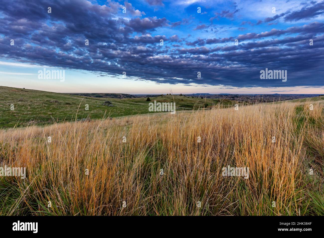 Peu d'herbe et de nuages de prairie à tige bleue dans le parc national Theodore Roosevelt, Dakota du Nord, États-Unis Banque D'Images