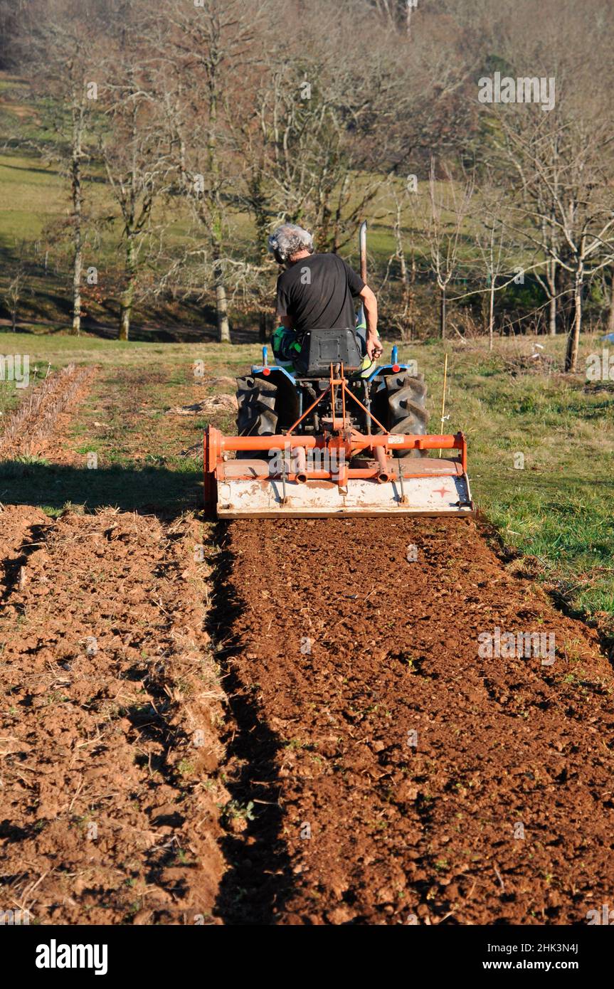 Rotavator avec un micro-tracteur sur un terrain, préparation du terrain ...