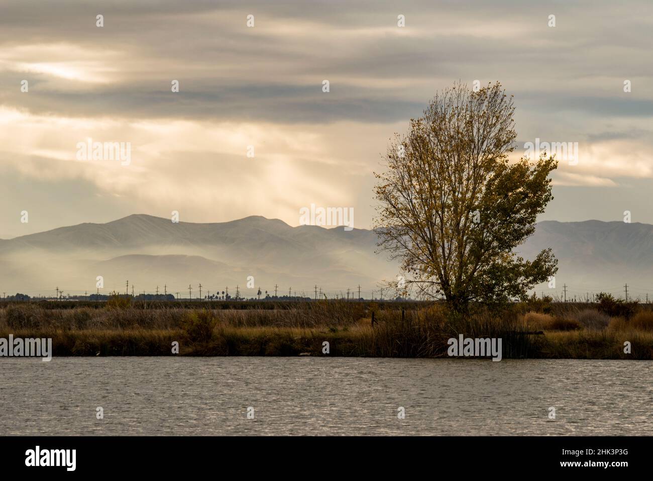 États-Unis, Californie, Central Valley. Rivière San Joaquin près de Firebaugh. Banque D'Images