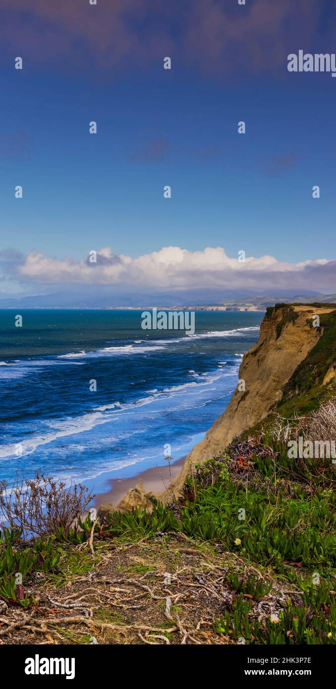 Vue sur la falaise, Bean Hollow Beach, Californie, États-Unis Banque D'Images