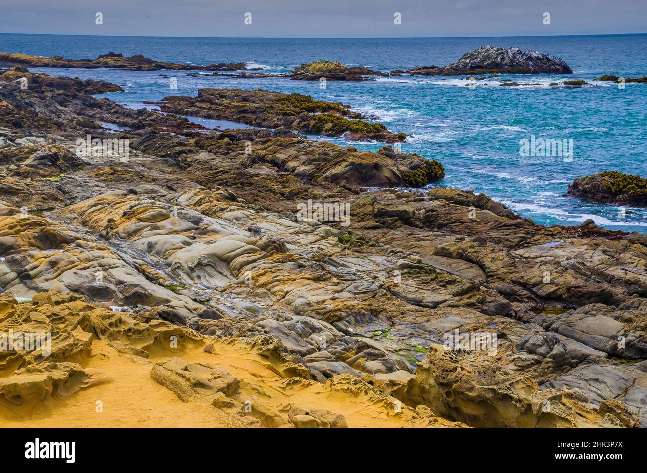 Bean Hollow Beach, Californie, États-Unis Banque D'Images