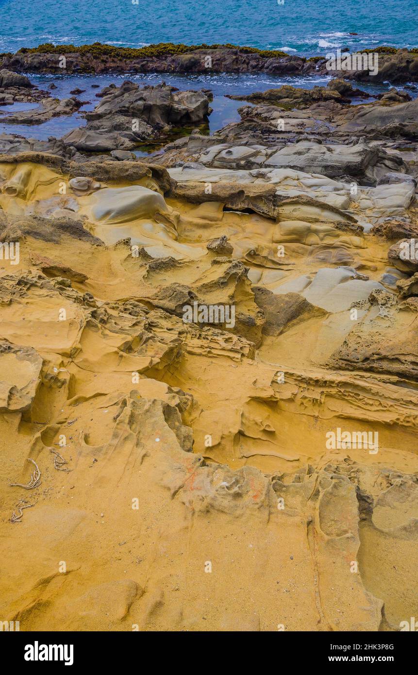 Formations rocheuses à Bean Hollow Beach, Californie, États-Unis Banque D'Images