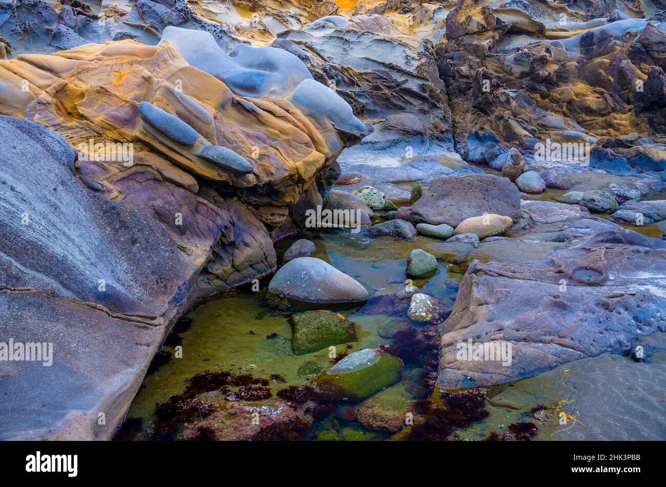 Formations rocheuses à Bean Hollow Beach, Californie, États-Unis Banque D'Images