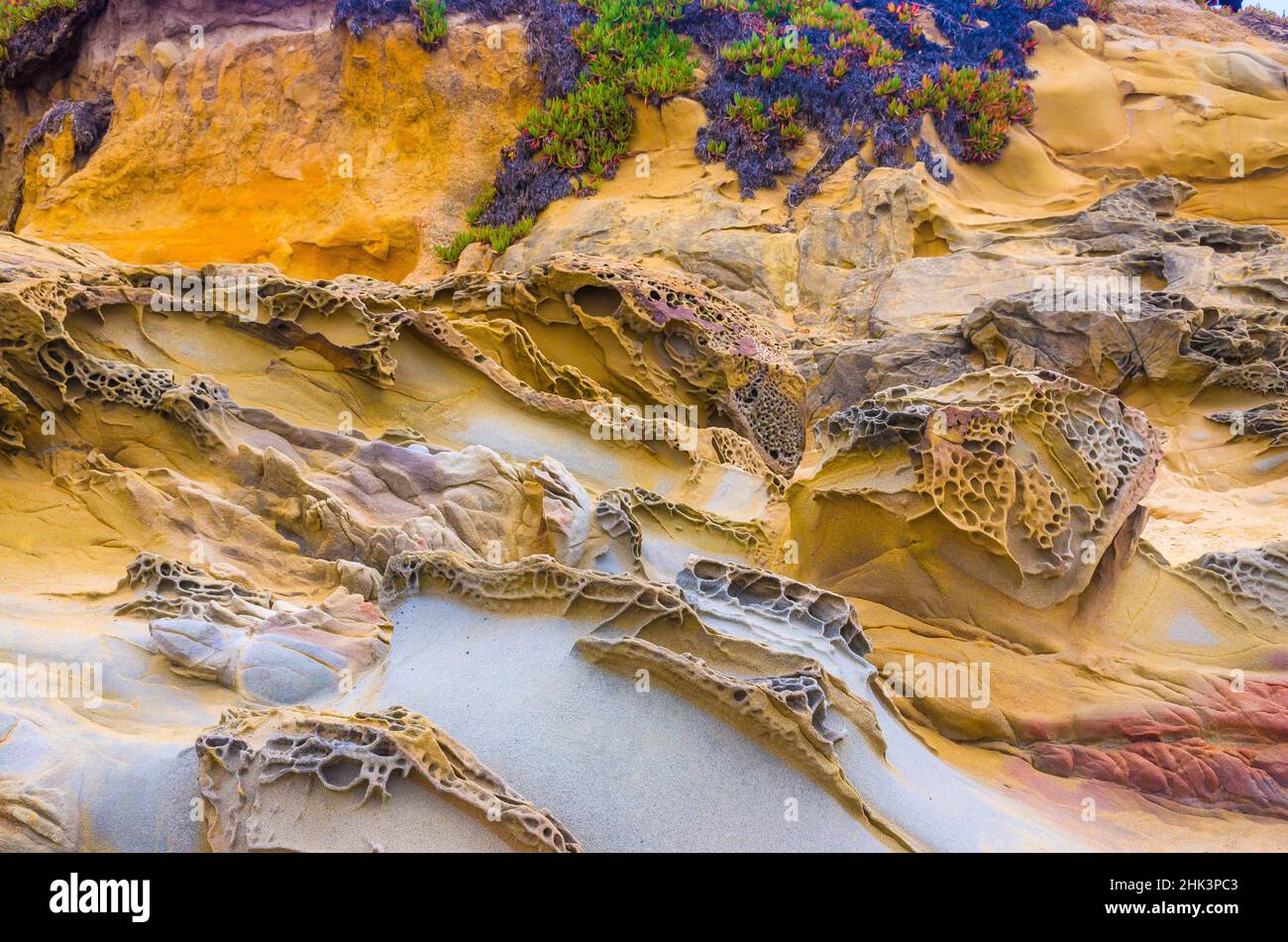 Formations rocheuses à Bean Hollow Beach, Californie, États-Unis Banque D'Images