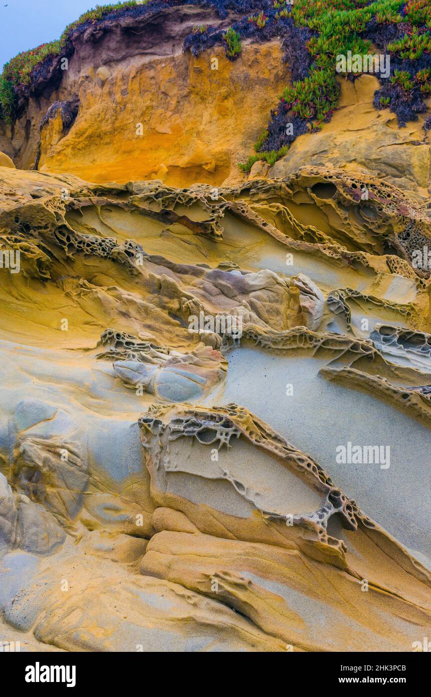 Formations rocheuses à Bean Hollow Beach, Californie, États-Unis Banque D'Images