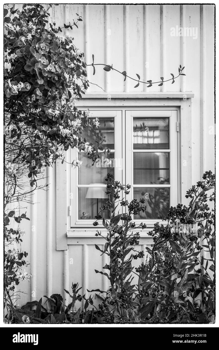 Suède, Bohuslan, Smogen, détails de la maison Banque D'Images