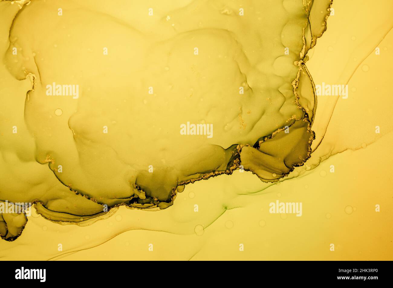 Gold Fluid Art. Liquid Abstract Illustration. Banque D'Images