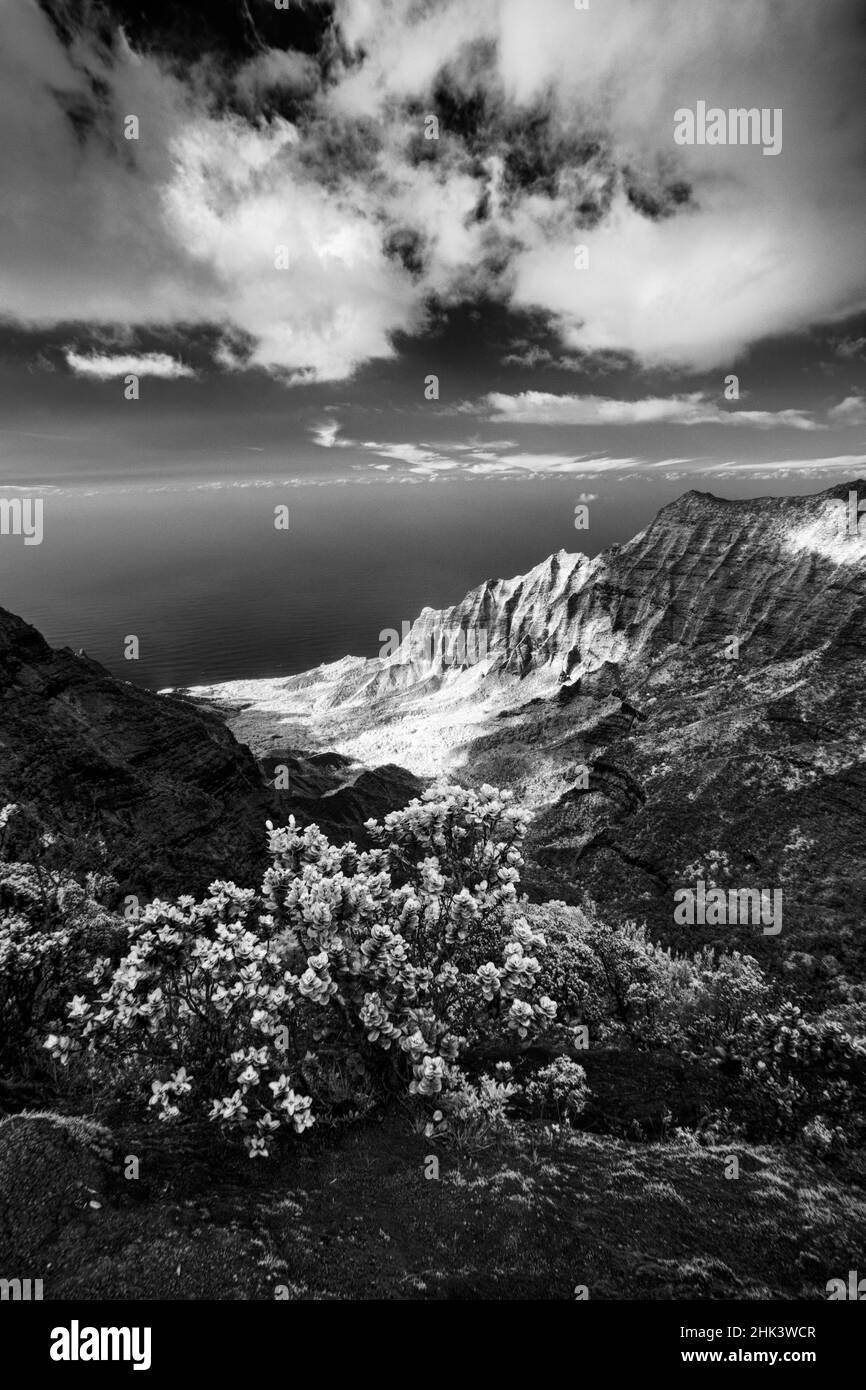 Vue sur les Etats-Unis, Hawaï, Kauai et Waimea Canyon Banque D'Images