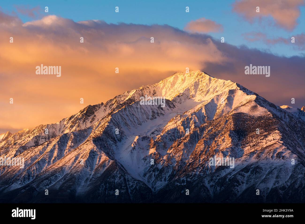 Lever du soleil d'hiver sur le mont Tom, Inyo National Forest, la Sierra Nevada, en Californie USA Banque D'Images