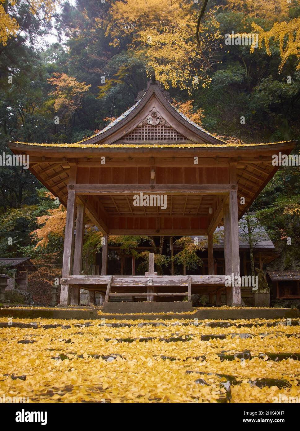 Temple japonais entouré de feuilles d'automne de ginko jaune et orange Banque D'Images