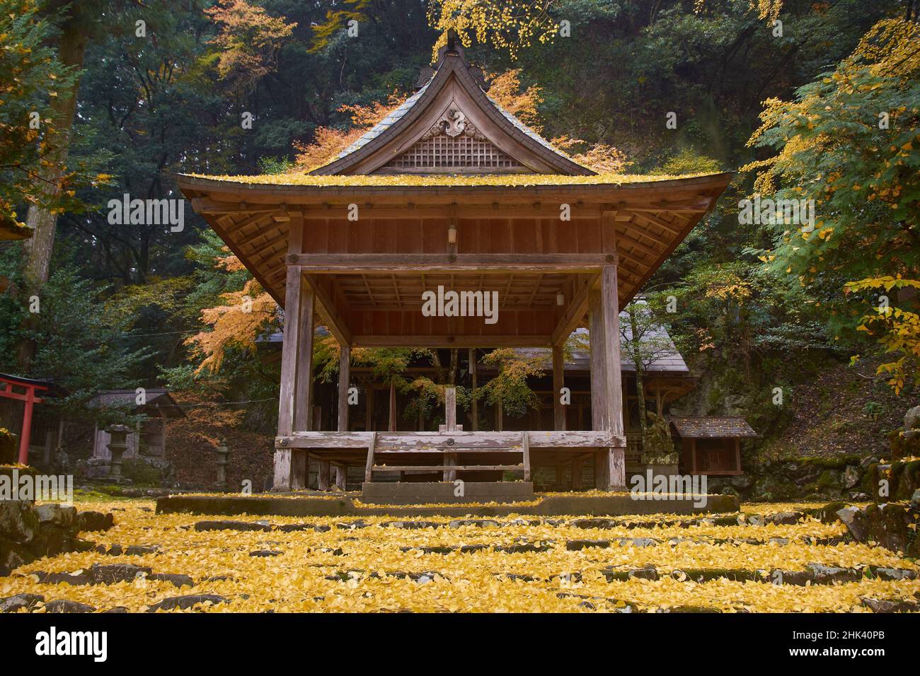 Temple japonais entouré de feuilles d'automne de ginko jaune et orange Banque D'Images