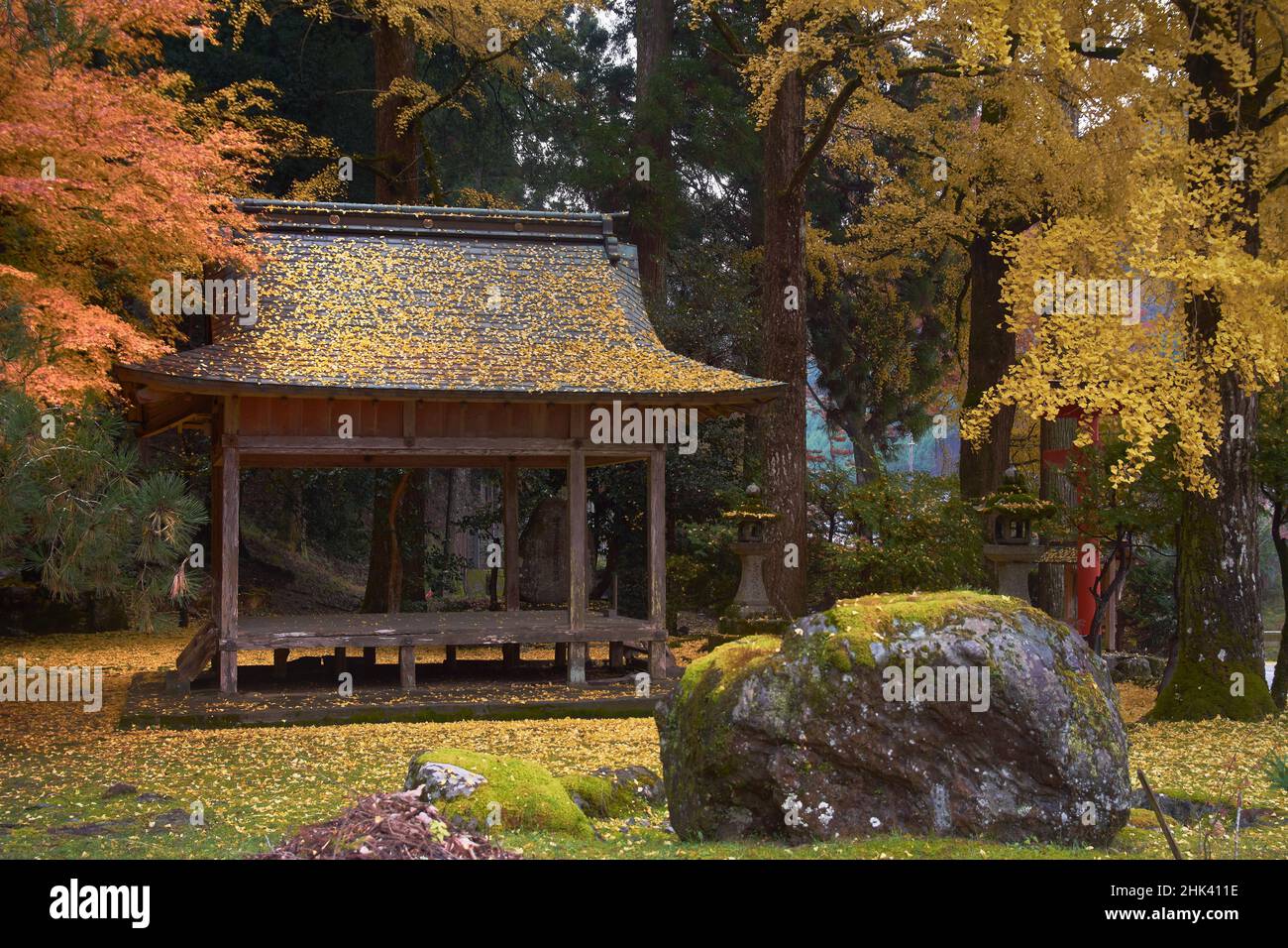 Temple japonais entouré de feuilles d'automne de ginko jaune et orange Banque D'Images