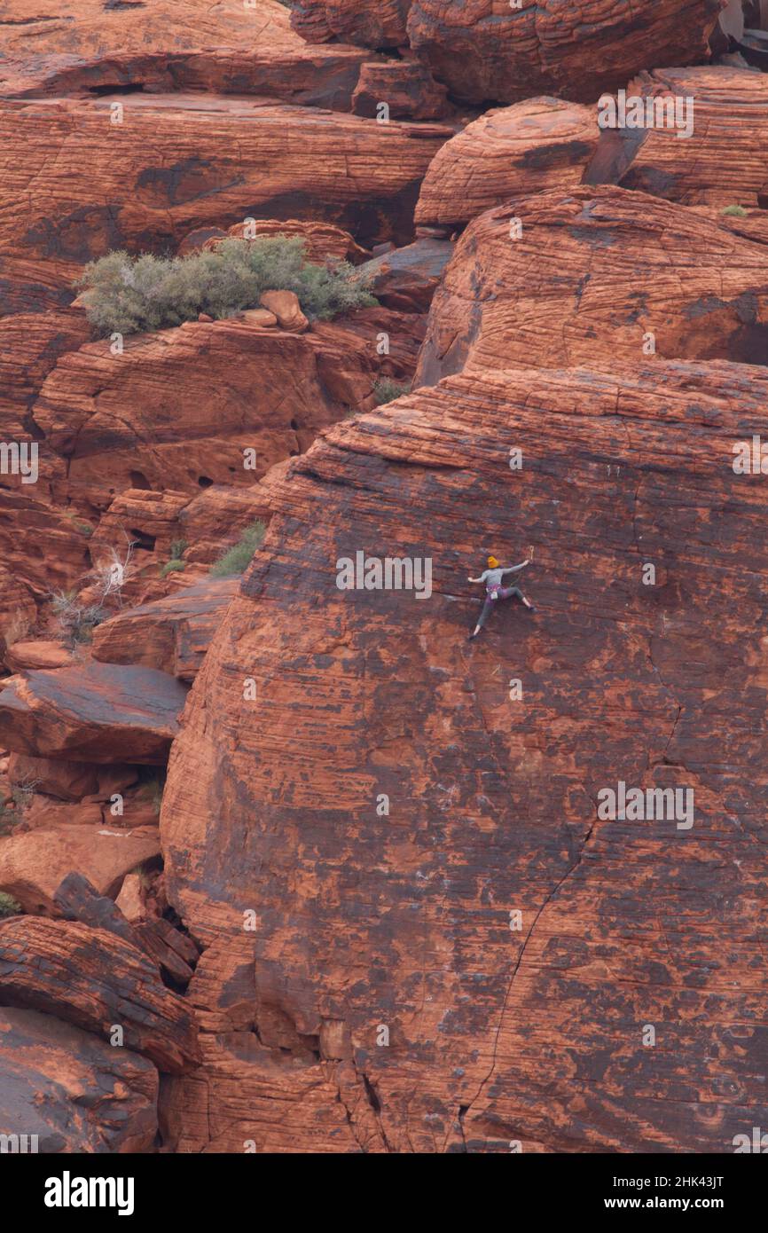 Grimpeur au Red Rock Canyon, Las Vegas, Nevada. Banque D'Images